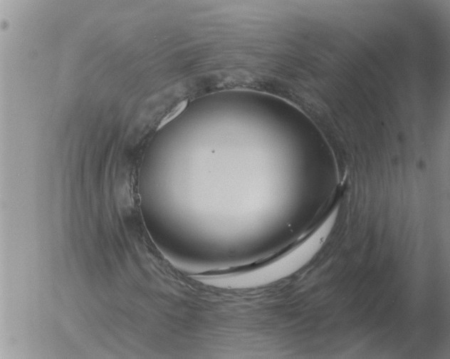 X0000055521250200509022115