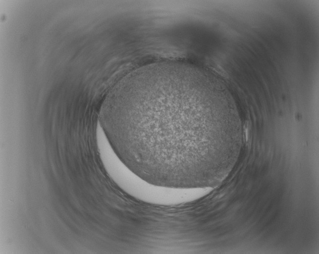 X0000055521251200509022115