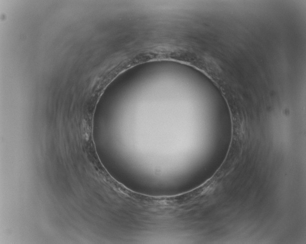 X0000055521253200509022115