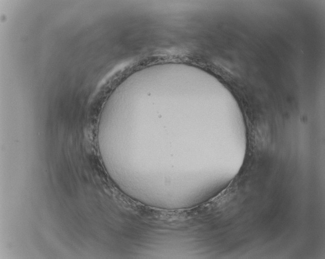 X0000055521254200509022115