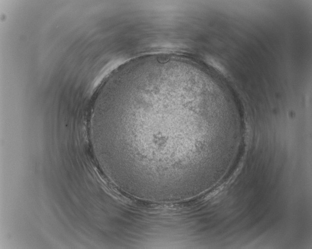 X0000055521259200509022114