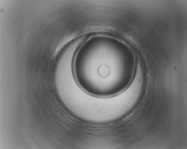 X0000055521261200509022114