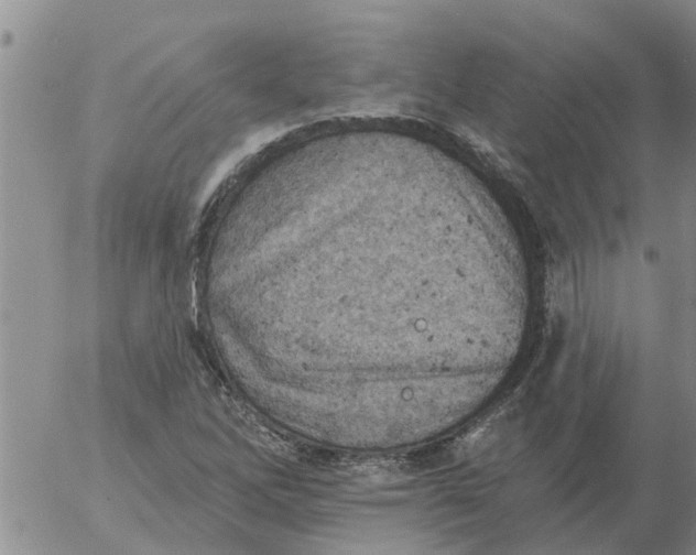 X0000055521262200509022114