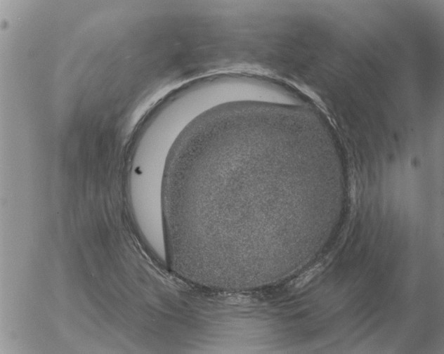 X0000055521263200509022114