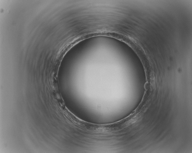 X0000055521265200509022114