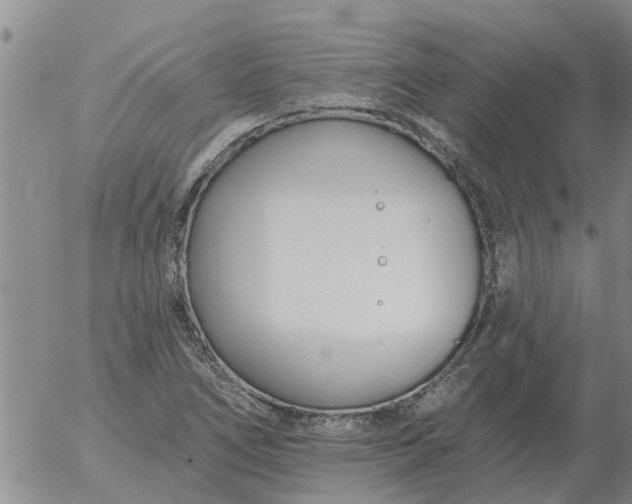 X0000055521266200509022114