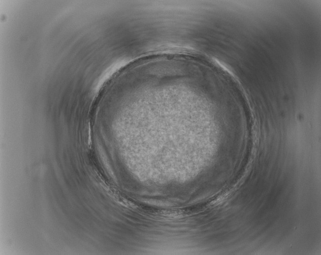 X0000055521267200509022114