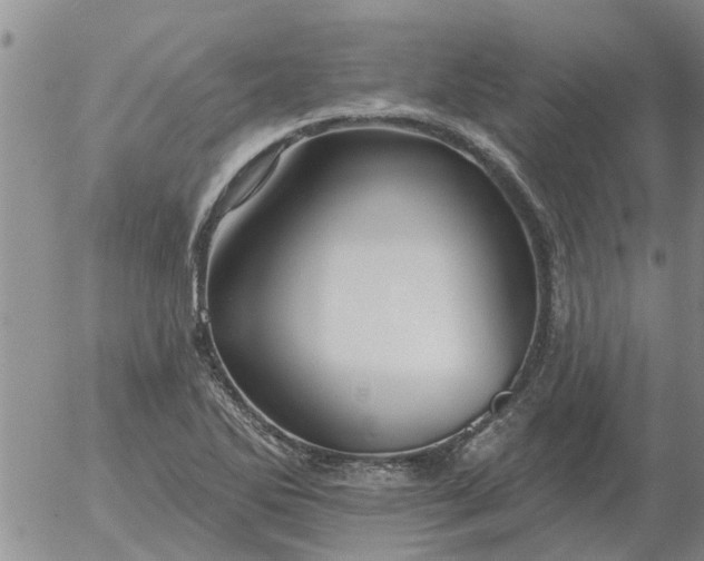 X0000055521270200509022114