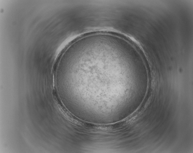 X0000055521271200509022114