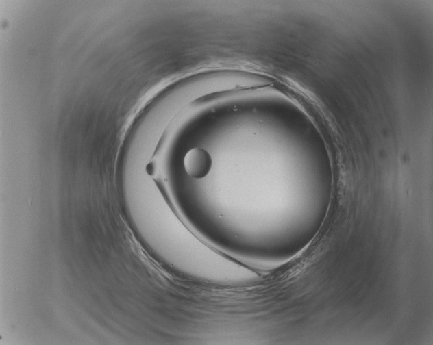 X0000055521272200509022114