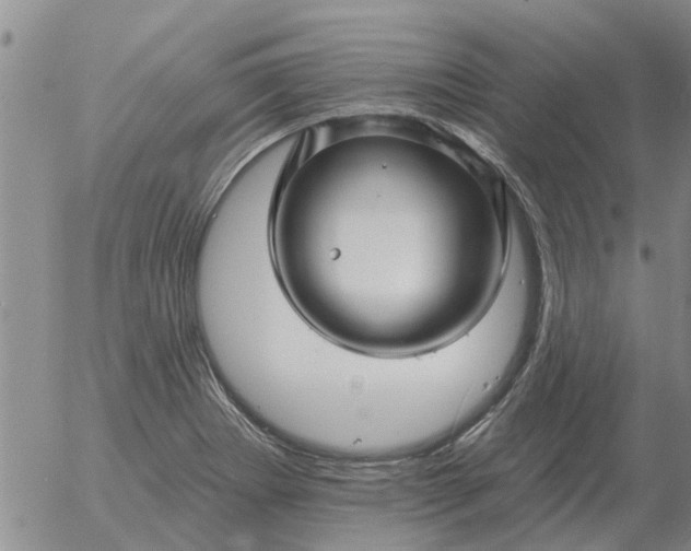 X0000055521273200509022114