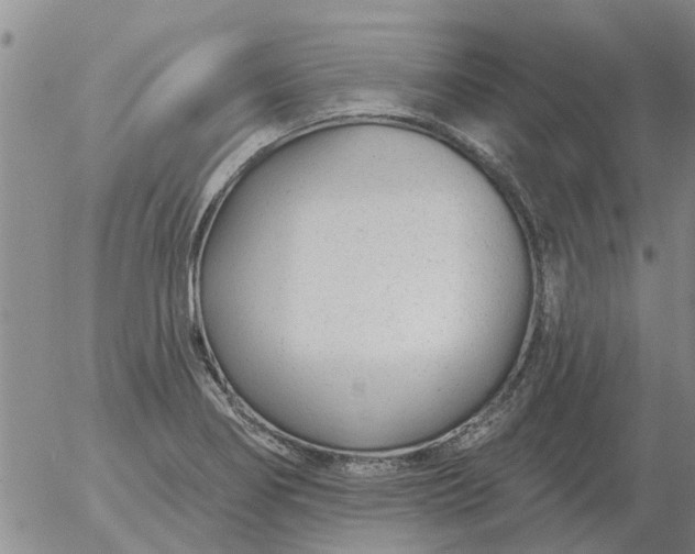 X0000055521274200509022114