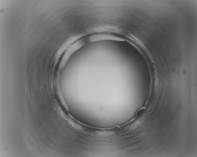 X0000055521277200509022114