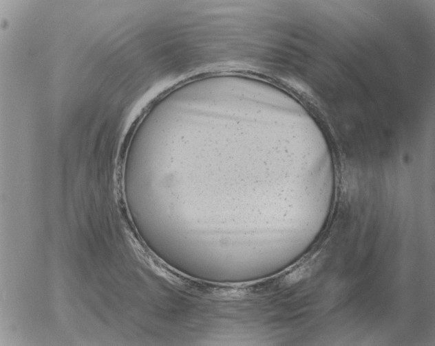 X0000055521278200509022114