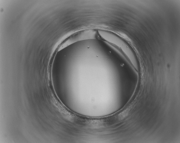 X0000055521280200509022114