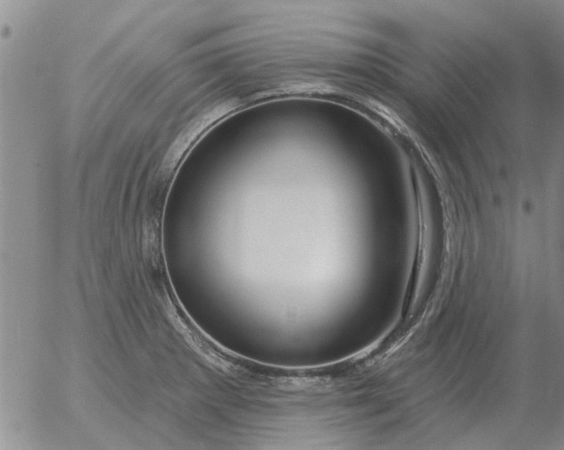 X0000055521281200509022114