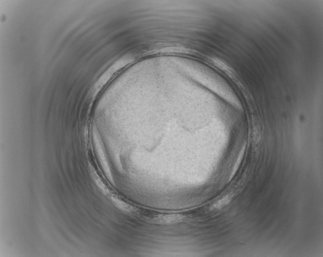 X0000055521282200509022114