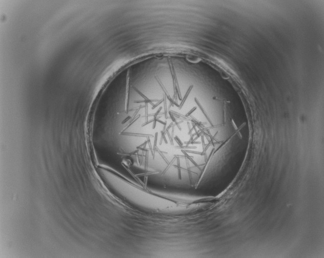 X0000055521283200509022114