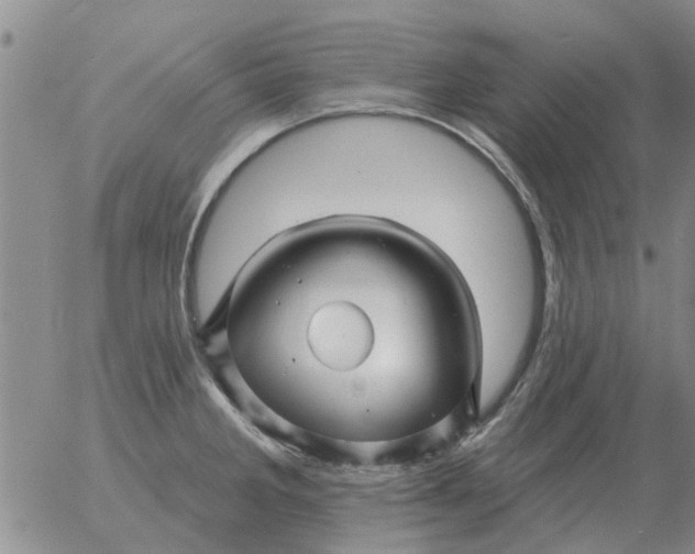 X0000055521285200509022114