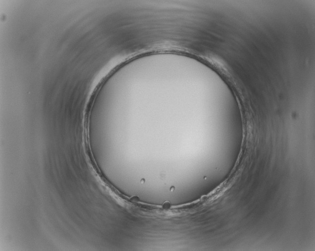 X0000055521286200509022114