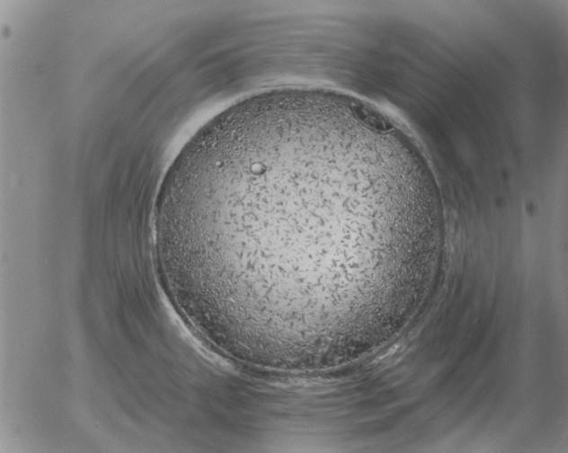 X0000055521287200509022114