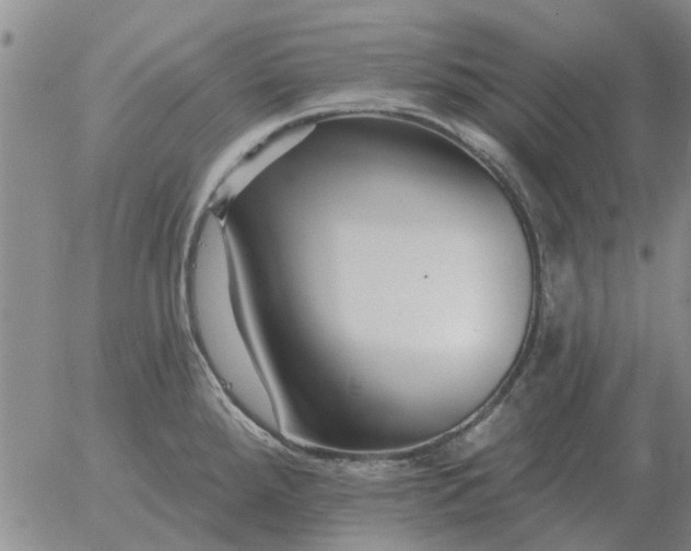 X0000055521288200509022114