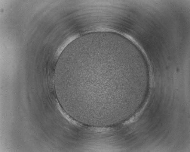 X0000055521289200509022114