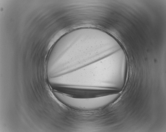 X0000055521290200509022114