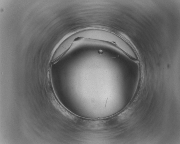 X0000055521292200509022114