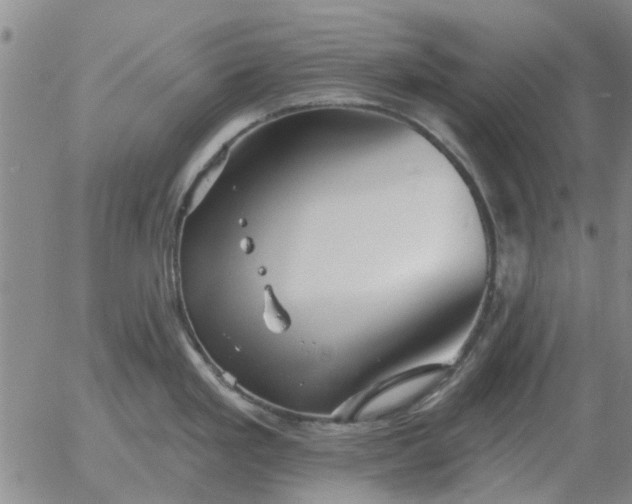 X0000055521293200509022114