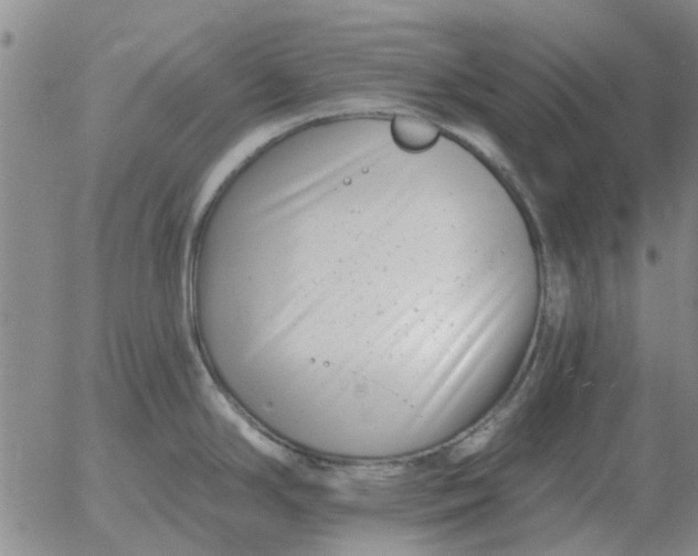 X0000055521294200509022114