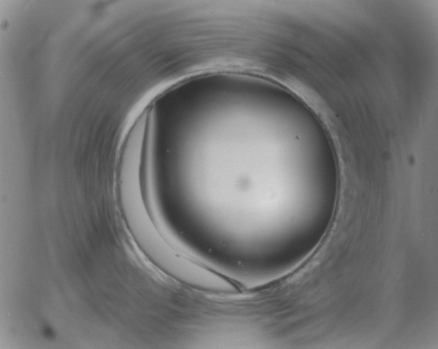 X0000055521296200509022114