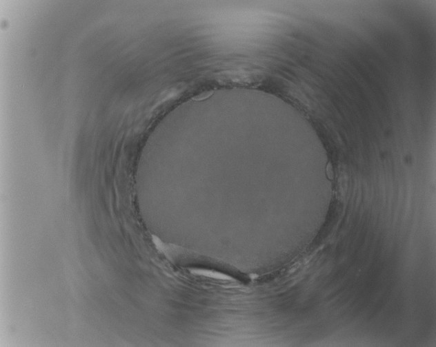 X0000055521297200509022113