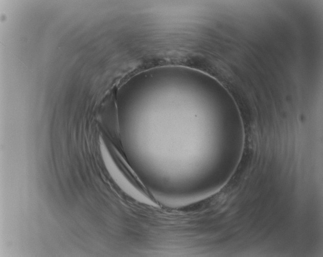 X0000055521298200509022113