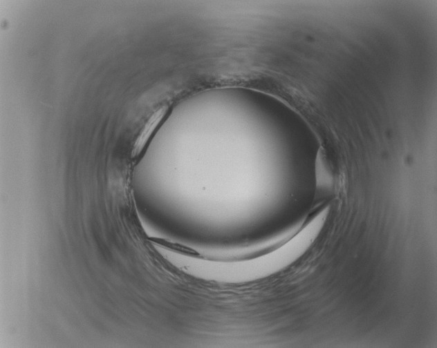 X0000055521300200509022113