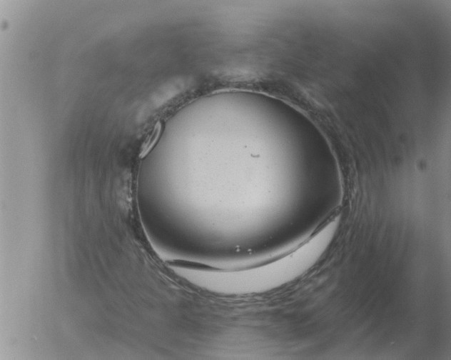 X0000055521301200509022113