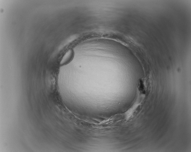 X0000055521302200509022113