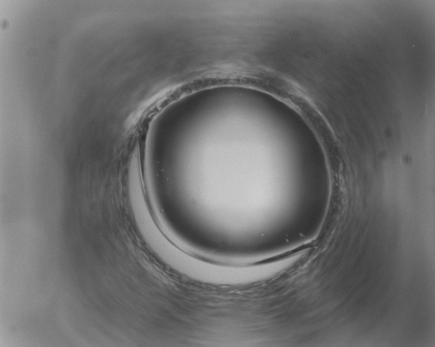 X0000055521304200509022113