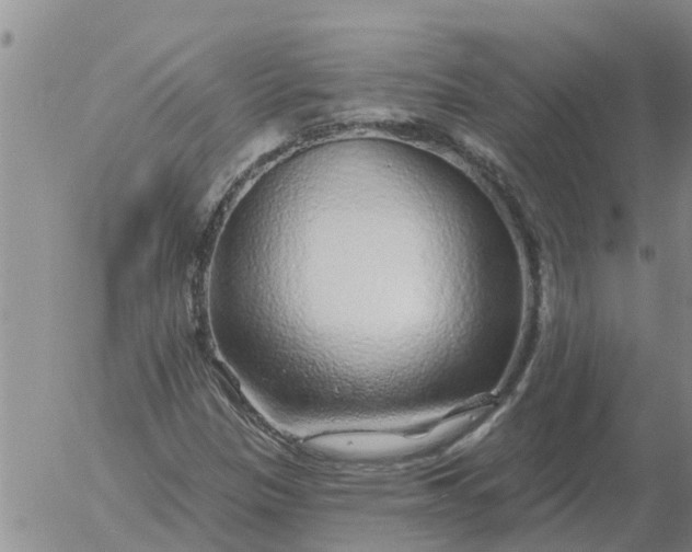 X0000055521305200509022113