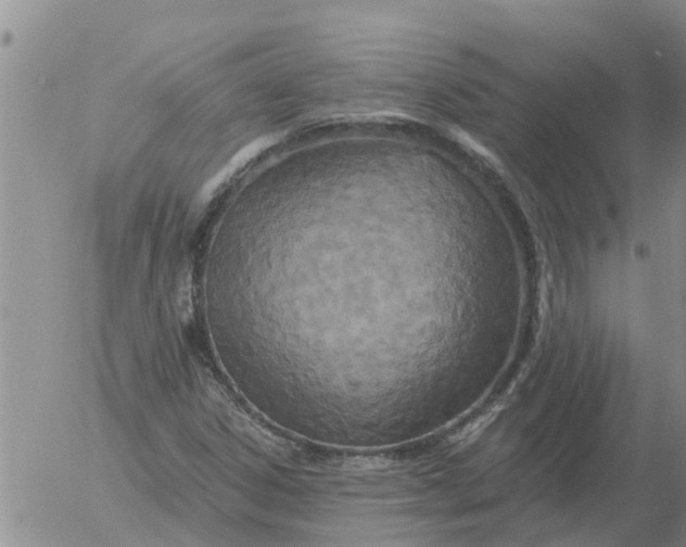 X0000055521306200509022113