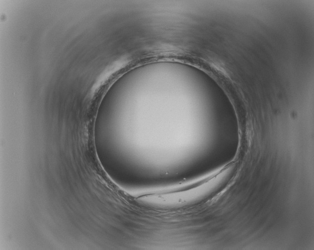 X0000055521309200509022113