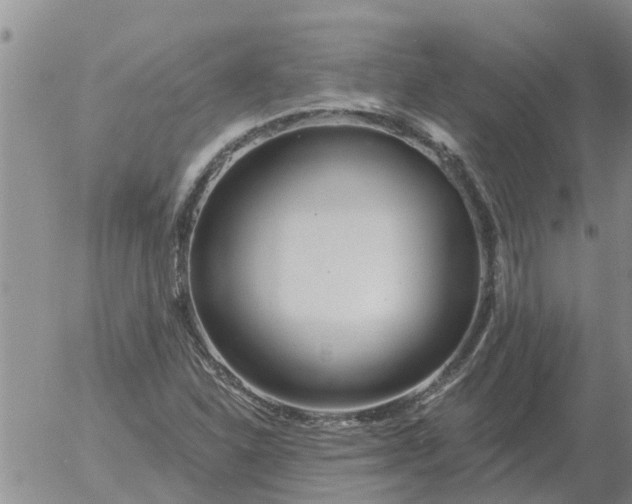 X0000055521310200509022113