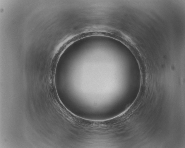 X0000055521312200509022113