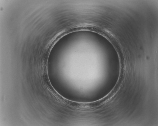 X0000055521313200509022113