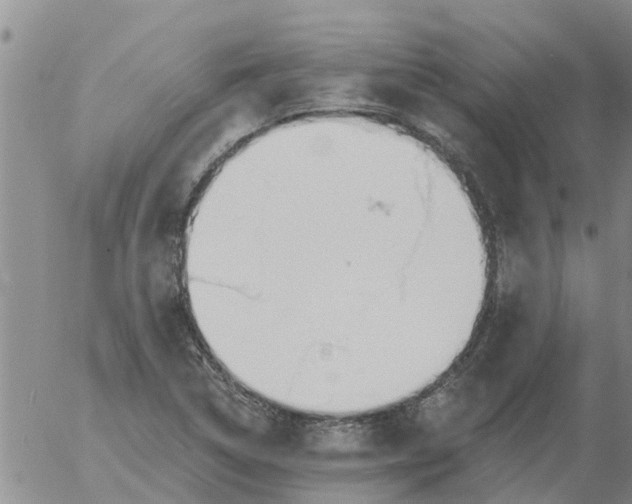 X0000055521314200509022113