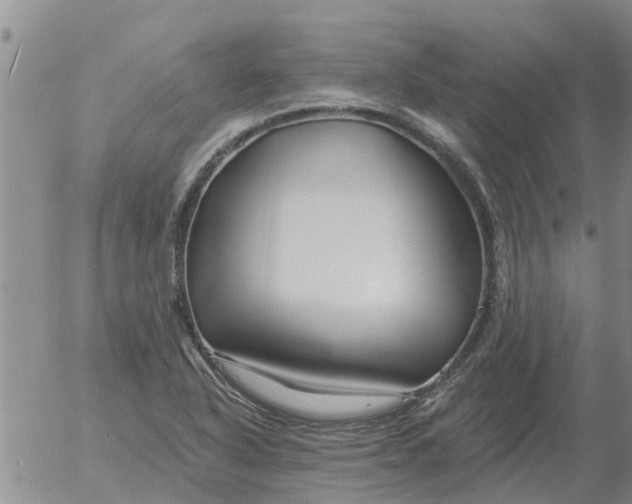 X0000055521318200509022113