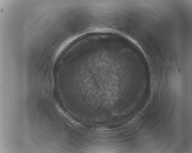 X0000055521319200509022113