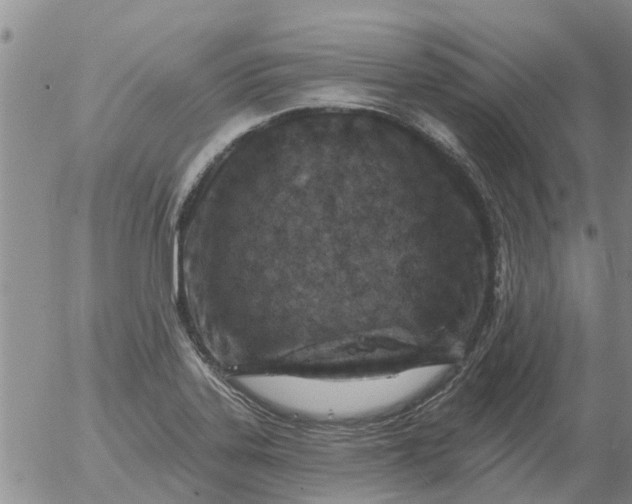 X0000055521323200509022113