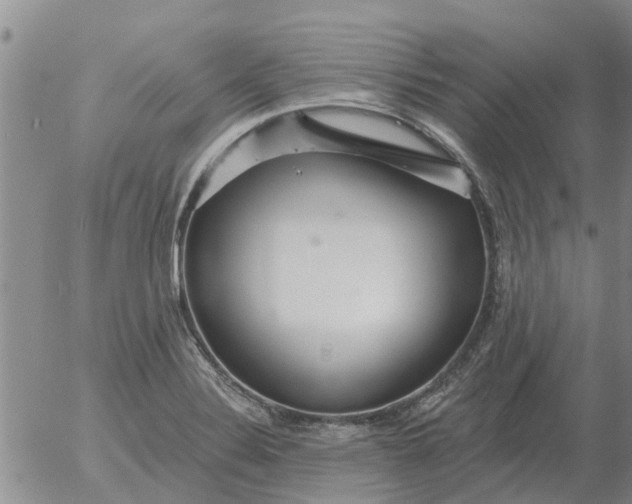 X0000055521324200509022113