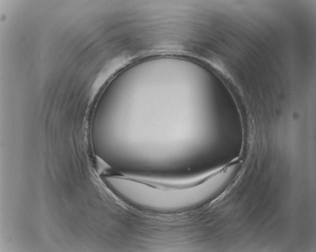 X0000055521325200509022113